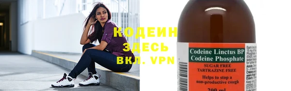 соль ск Алзамай