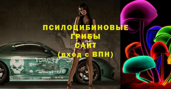 соль ск Алзамай