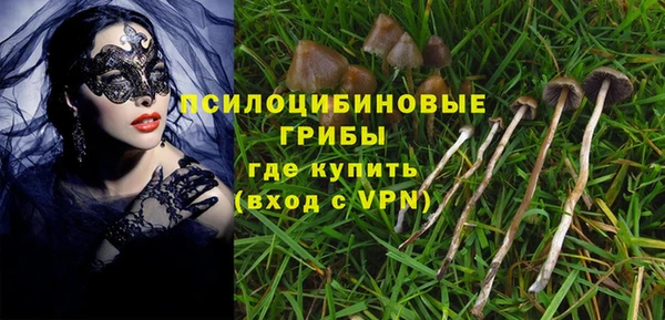apvp Абаза